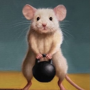 Fundraising Page: Classroom Six - Squat Stance Six